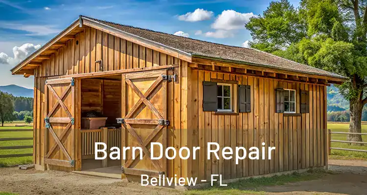Barn Door Repair Bellview - FL