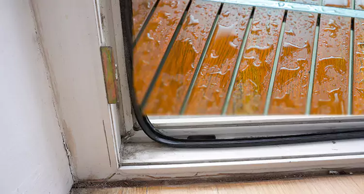 Water Leaking Wooden Patio Doors Repair in Bellview, FL