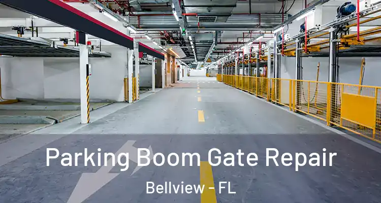  Parking Boom Gate Repair Bellview - FL