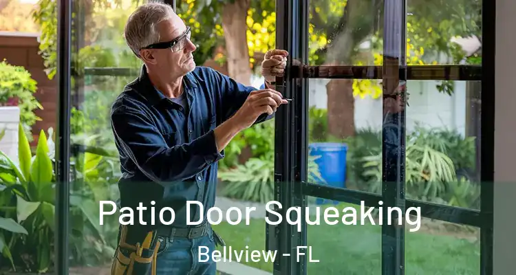  Patio Door Squeaking Bellview - FL