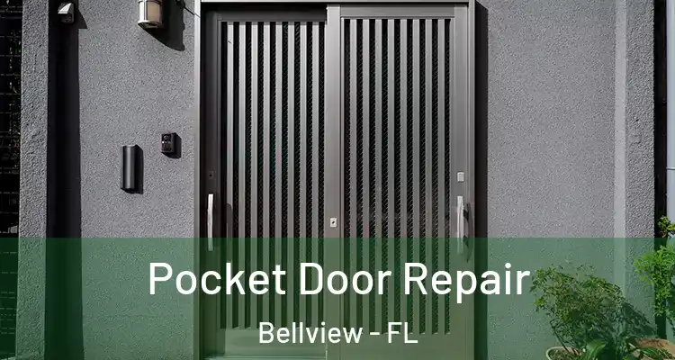  Pocket Door Repair Bellview - FL