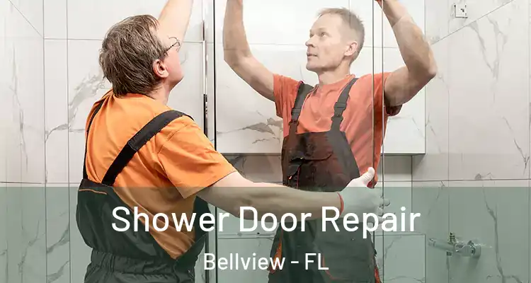 Shower Door Repair Bellview - FL