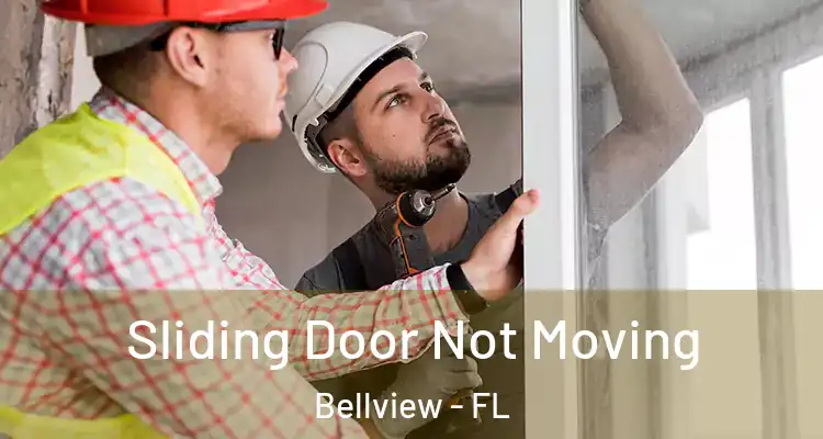  Sliding Door Not Moving Bellview - FL