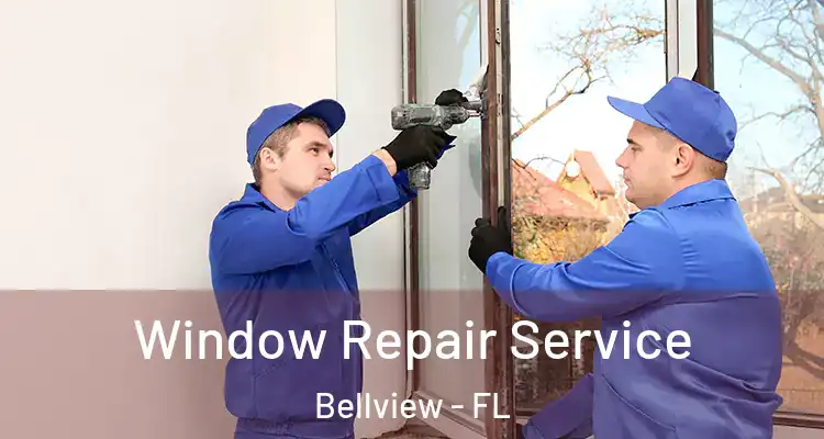 Window Repair Service Bellview - FL